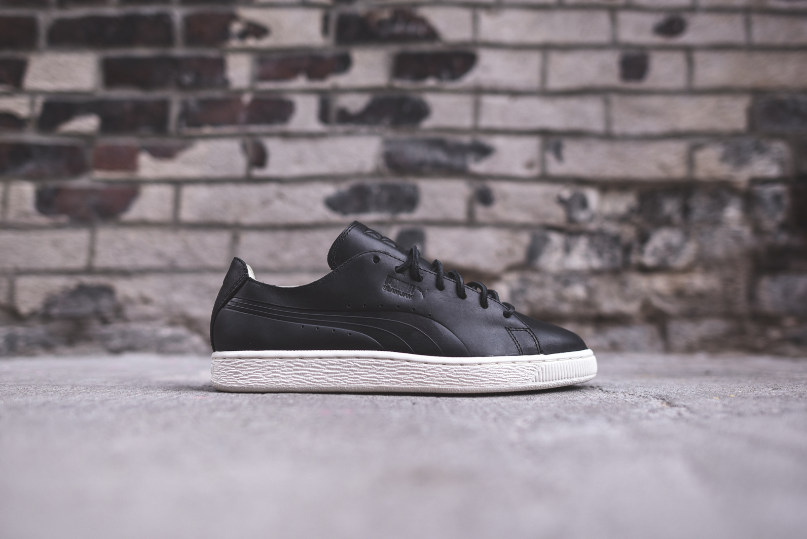 puma states 2015