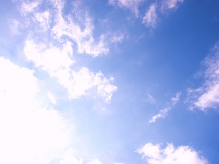 PA210535.JPG