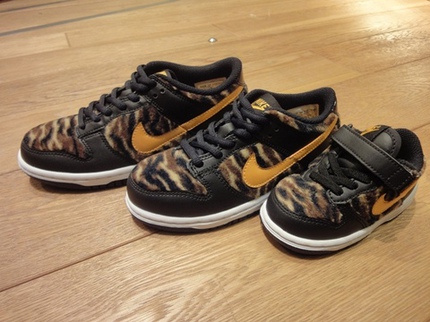 DUNKTIGER1-thumb-480x360-747.jpg