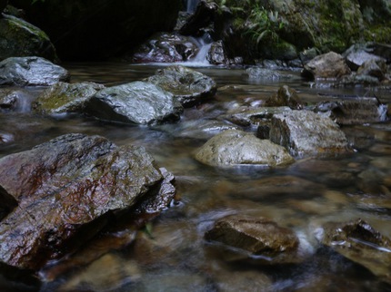 P1030641.jpg