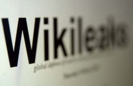 Wiki.jpg