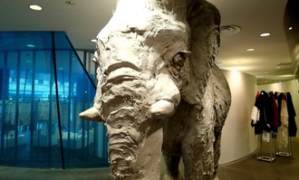 L1000190.JPG
