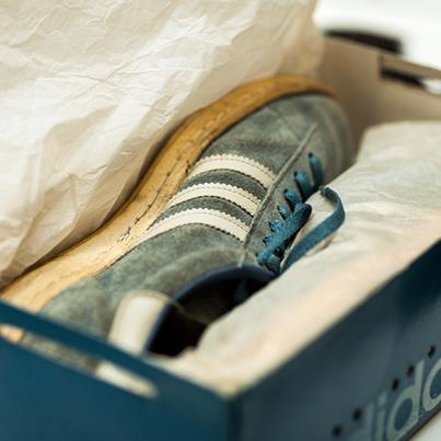 295540_1696823987123236_1324712680_n