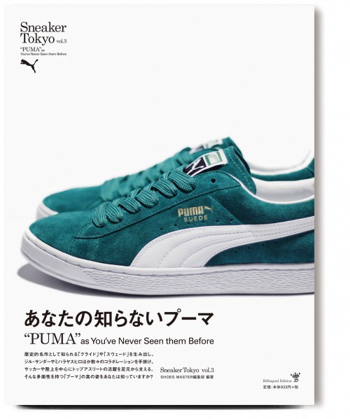 SUEDE 45th ANNIVERSARY SHOES MASTER