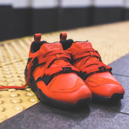 PUMAXRISE_NYIFL_BOG_3