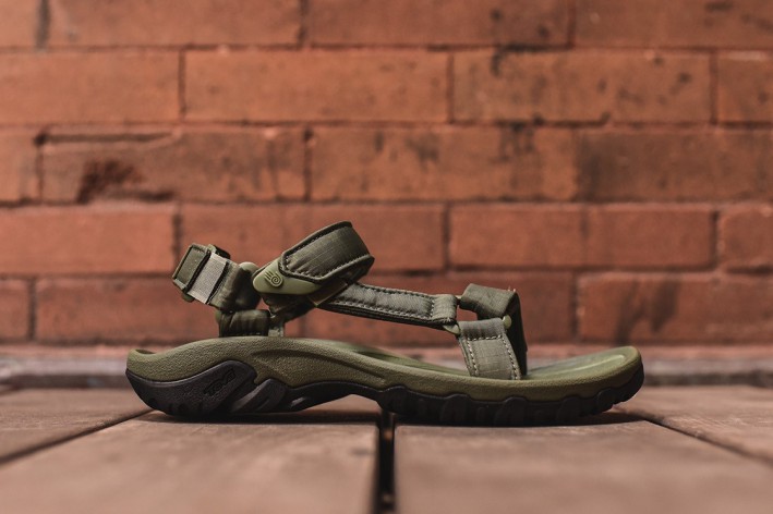 Olive_1