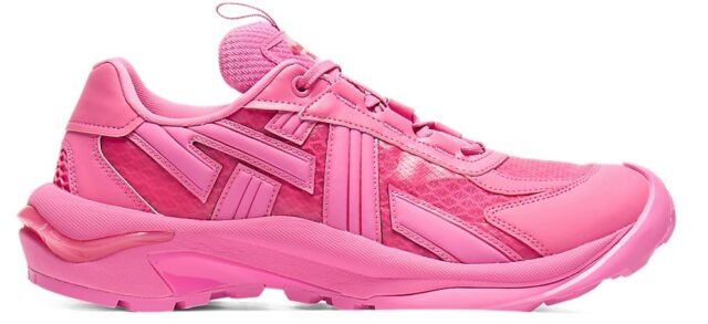 【信頼】 Onitsuka MASTER SHOES | Color New “TIGTRAIL™” Tiger 小物